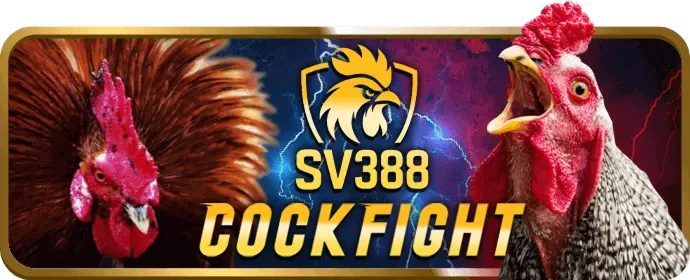 Câu hỏi thường gặp về ưu đãi WinPlay